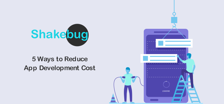 Reduce-App-Development-Cost